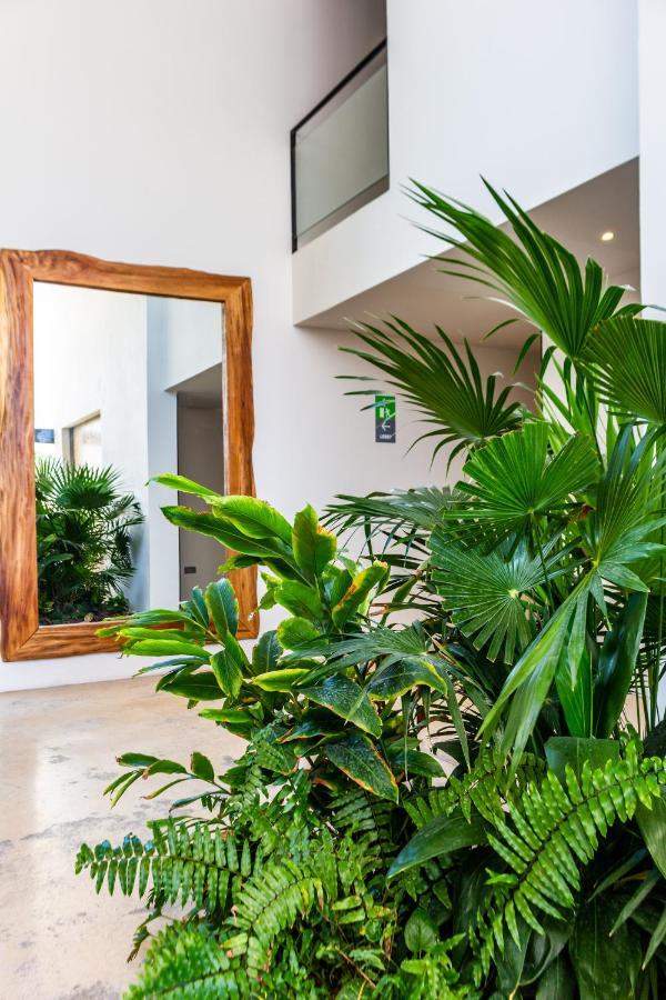 Big Studio At Kaab By The Beach With Roof Top Pool, Sauna And Jacuzzi Near Paseo Del Carmen Mall Playa del Carmen Exterior photo